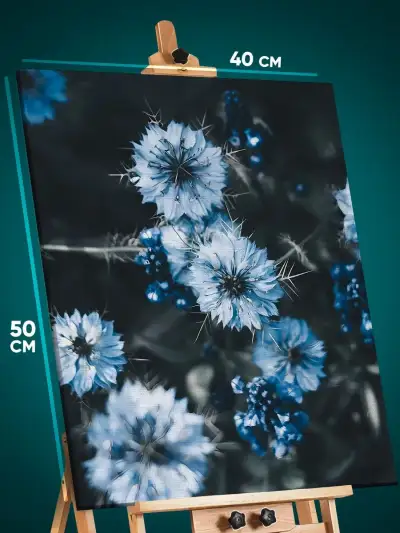 Картина на стену Цветы нигелла 40x50