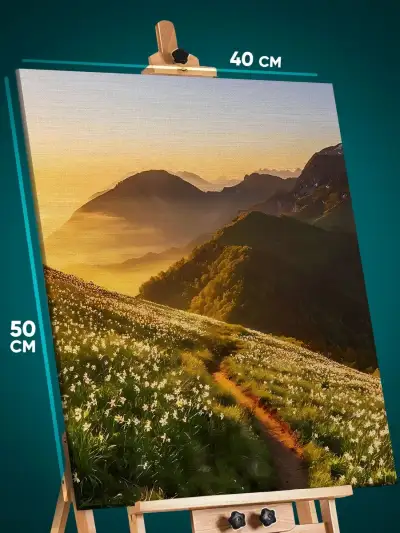 Картина на стену Пейзаж летний тропа горы 40x50