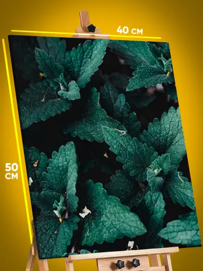 Картина на стену Цветы мята 40x50