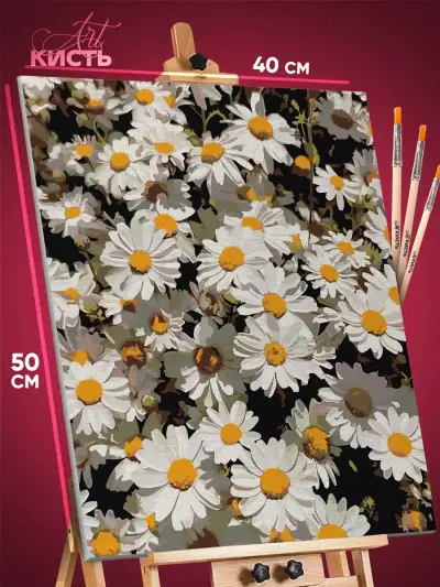 Картина по номерам Цветы ромашки 40x50