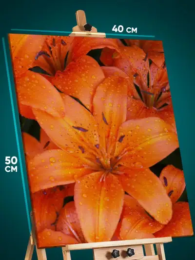 Картина на стену Цветы лилии 40x50