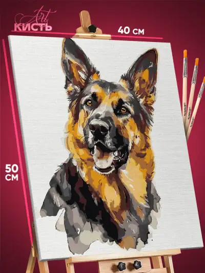Картина по номерам Собаки овчарка 40x50