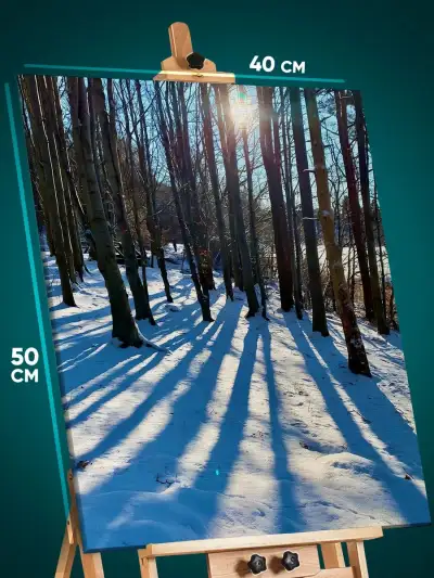 Картина на стену Пейзаж зимний природа лес 40x50