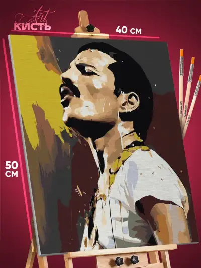 Картина по номерам Музыка Фредди Меркьюри 40x50