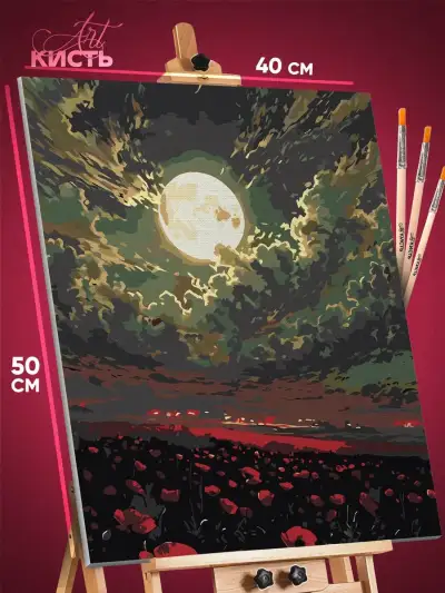 Картина по номерам Цветы поле ночь 40x50