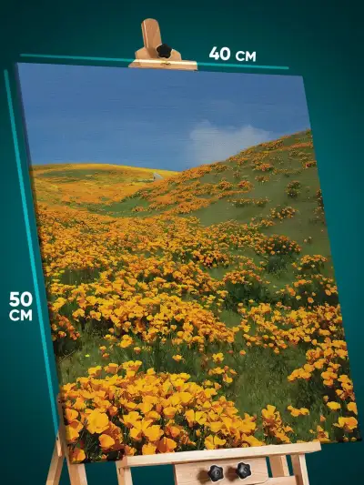 Картина на стену Цветы маки поле 40x50
