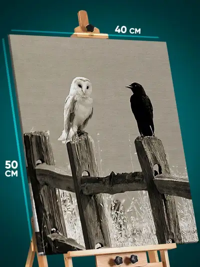 Картина на стену Животные птица ворон и сова филин 40x50